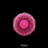 ProtonArtisan