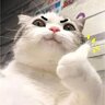 Leeminthank