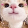 xoaichammamtom_37
