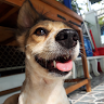 Linh1234Hello