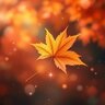 OneAutumnLeaf