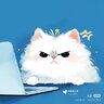van.hoang