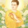 qckhanh