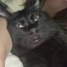 Đường đời bất tận