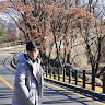 Luibong