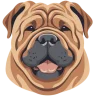 Shar Pei