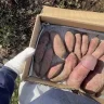 ishowmeat