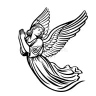 Speculator Angel