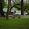 Vịt Cỏ chạy bầu