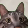 phamgjakhiem