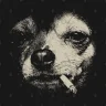 Cigarett͏e