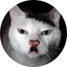 Fuhrer͏