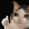 ditimcuocdoi