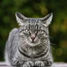 hidenusere