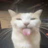 khong dieu kien