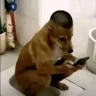 huu_duyen_pl