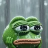 Dr.Pepe