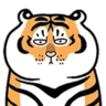 VNSVNS