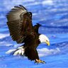iloveraptors