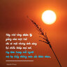 thesun213
