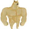 jfgbvset