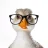 MrDduckK