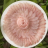 lapnickkhothe123