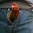 luffy004