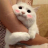 kimdongbang_ver1