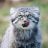 cartoxx
