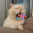 phatanh9x