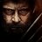 Logan Wolverine