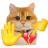 nhaemcomotconga