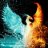 freefoenix