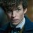 eddieredmayne