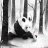wibu_that_tinh