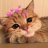Iamcutesomuch