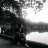 harry_tran