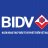 CEO BIDV tương lai