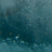 stellavivai