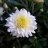 nguyenhuuhung_dn