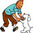 tintin_v0z