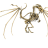 kkybc3