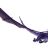 congtaikt