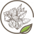 ACMVN6