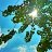 OpenSkyT