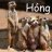 h ó n g