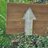 JeanMitchell4798@hihicut