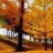 xautrai_ngheo_668
