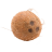 coconut brown